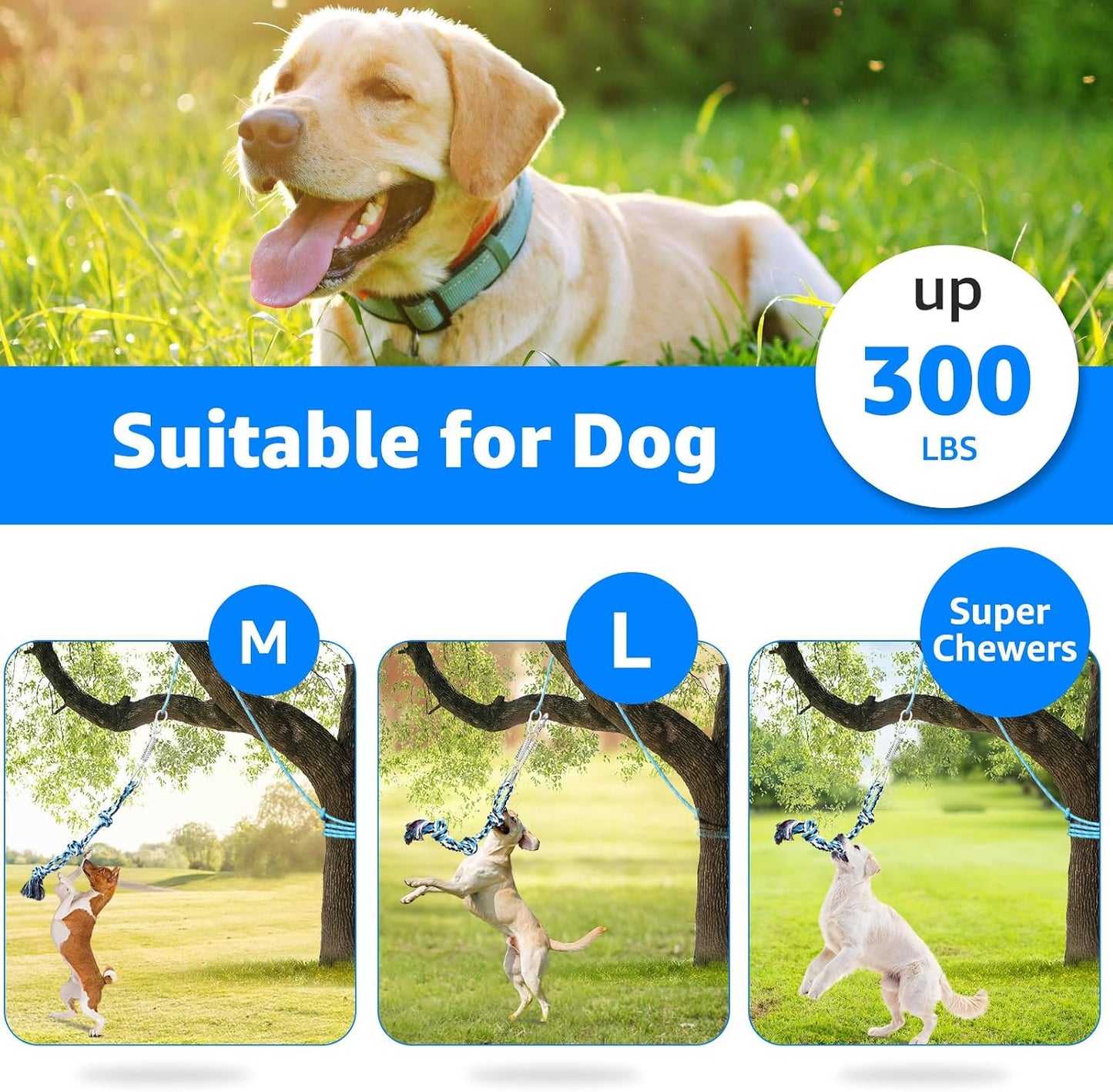 Spring Pole Toy for Pitbull: Bungee Tug of War Toys for Small Large Aggressive Chewers Dogs to Exercise & Muscle Building & Bite Training,Outdoor Heavy Duty Bungee Solo Tree Tugger Hanging Toy